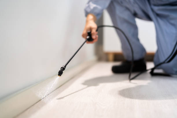 Licensed Termite Control service in Jackson, KY - Nex Pest Control