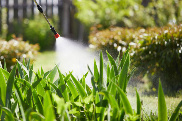24/7 Emergency Termite Control experts in Jackson, KY