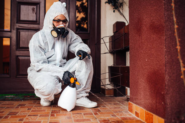 Reliable Termite Control contractor in Jackson, KY by Nex Pest Control