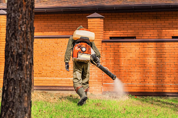 Top rated local Termite Control specialists in Jackson, KY